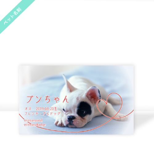 名刺デザイン（ペット名刺）